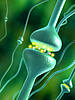 © Andrea Danti - Fotolia.com