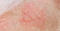 © Jürgen Fälchle - Fotolia.com 