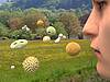 © Juan Gaertner - Fotolia.com