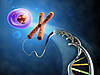 © Andrea Danti - Fotolia.com