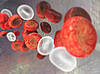 © Giovanni Cancemi – Fotolia.com 