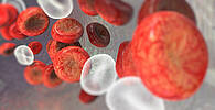 © Giovanni Cancemi – Fotolia.com 