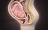 © krishnacreations - Fotolia.com
