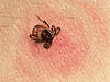 © Smileus - Fotolia.com 