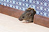 © Irina K.- Fotolia.com