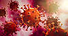 © peterschreiber.media – stock.adobe.com