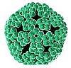 HP-Virus