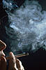 © Celeste-RF - Fotolia.com 