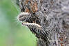 © Tobias – stock.adobe.com 