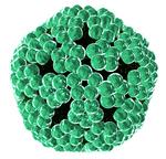 HP-Virus